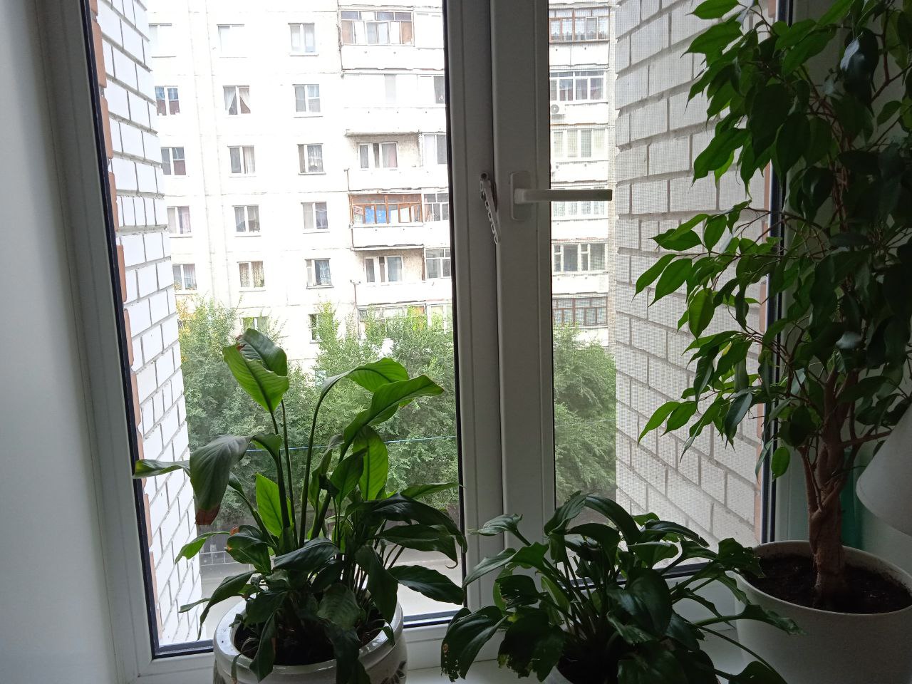 https://tobolsk.delaem-okna.ru/storage/app/uploads/public/63f/332/8c0/63f3328c0d6f7867060515.jpg